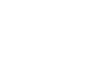 Edison Electric Institute